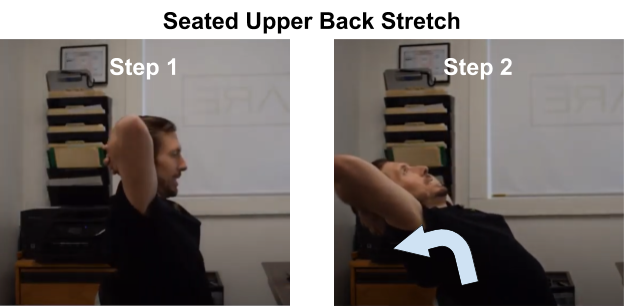 Seated Upper Back Stretch Demonstration Image